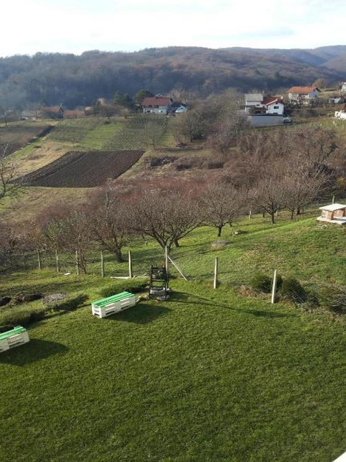 Apartments Da - Dent Sveti Ivan Zelina Dış mekan fotoğraf